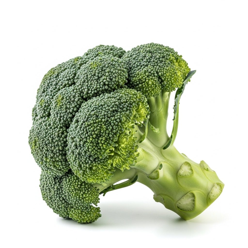 Fresh Broccoli 1pc - Surrey Fresh