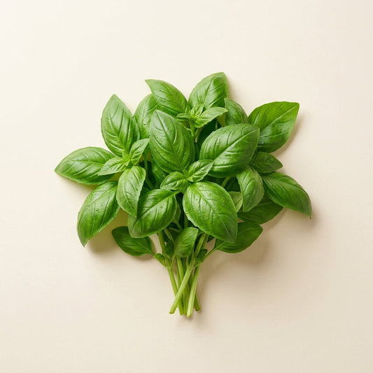 Fresh Basil 30g - Mole Valley Mornings