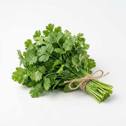 Fresh Coriander 30G - Mole Valley Mornings