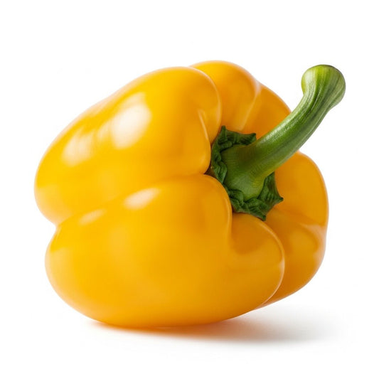 Fresh Yellow Peppers — Each - Surrey Fresh